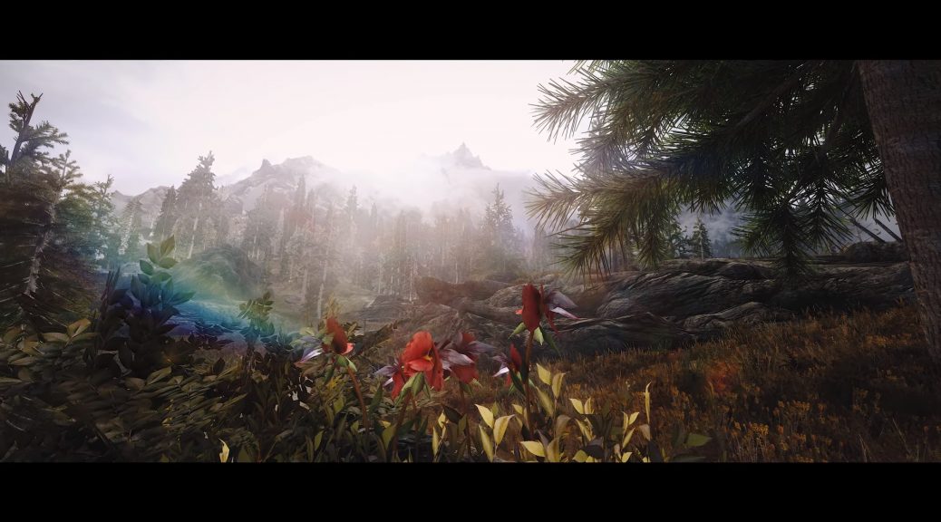 New version of Skyrim 3D Trees mod adds 35 new high quality replacer ...