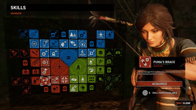 tomb raider shadow of the tomb fling trainer