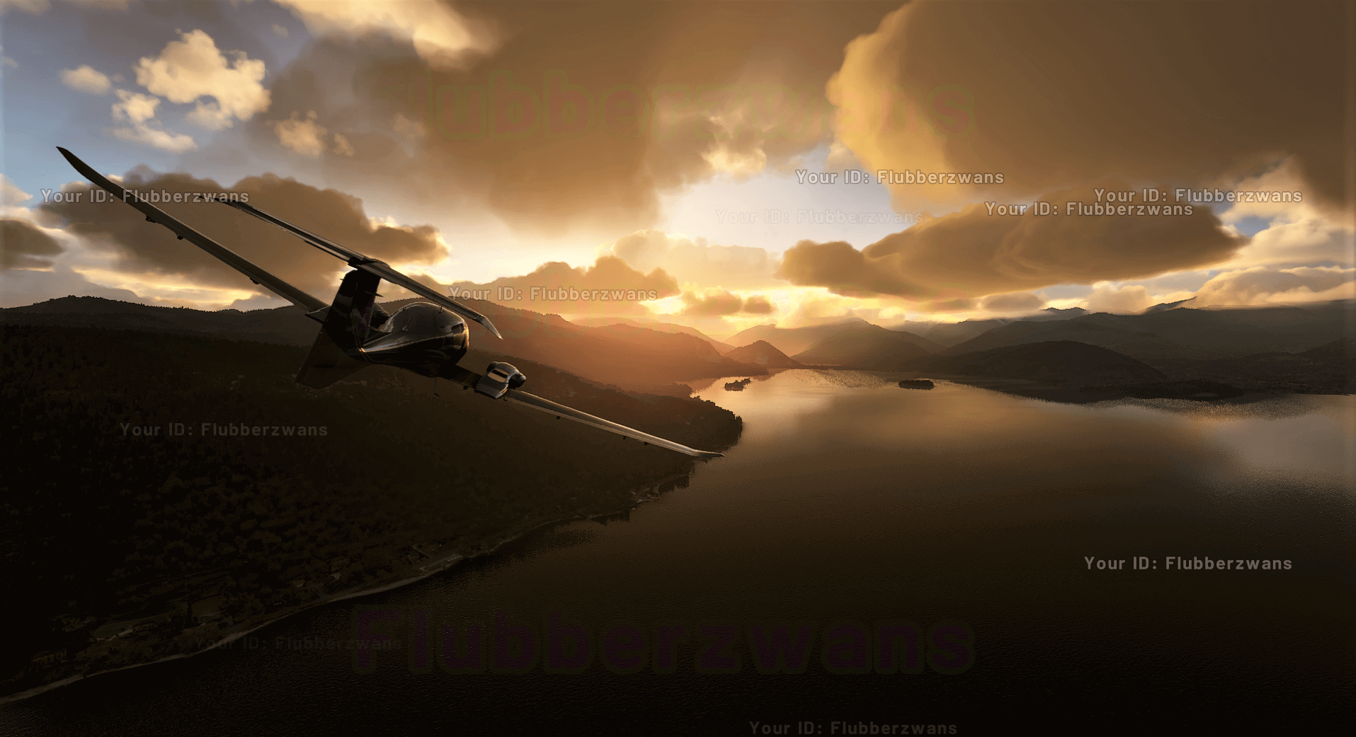 Here are the official PC system requirements for Microsoft Flight Simulator