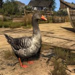 The Witcher 3 HD textures for animals-5