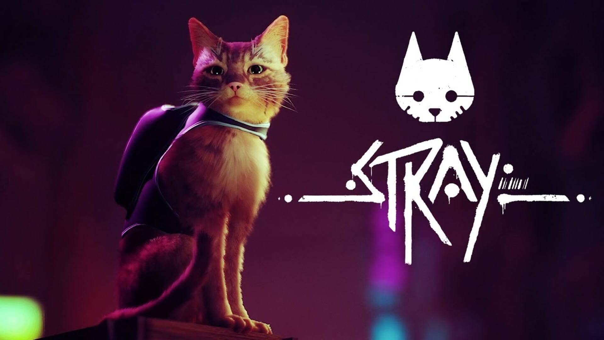 download the new Stray
