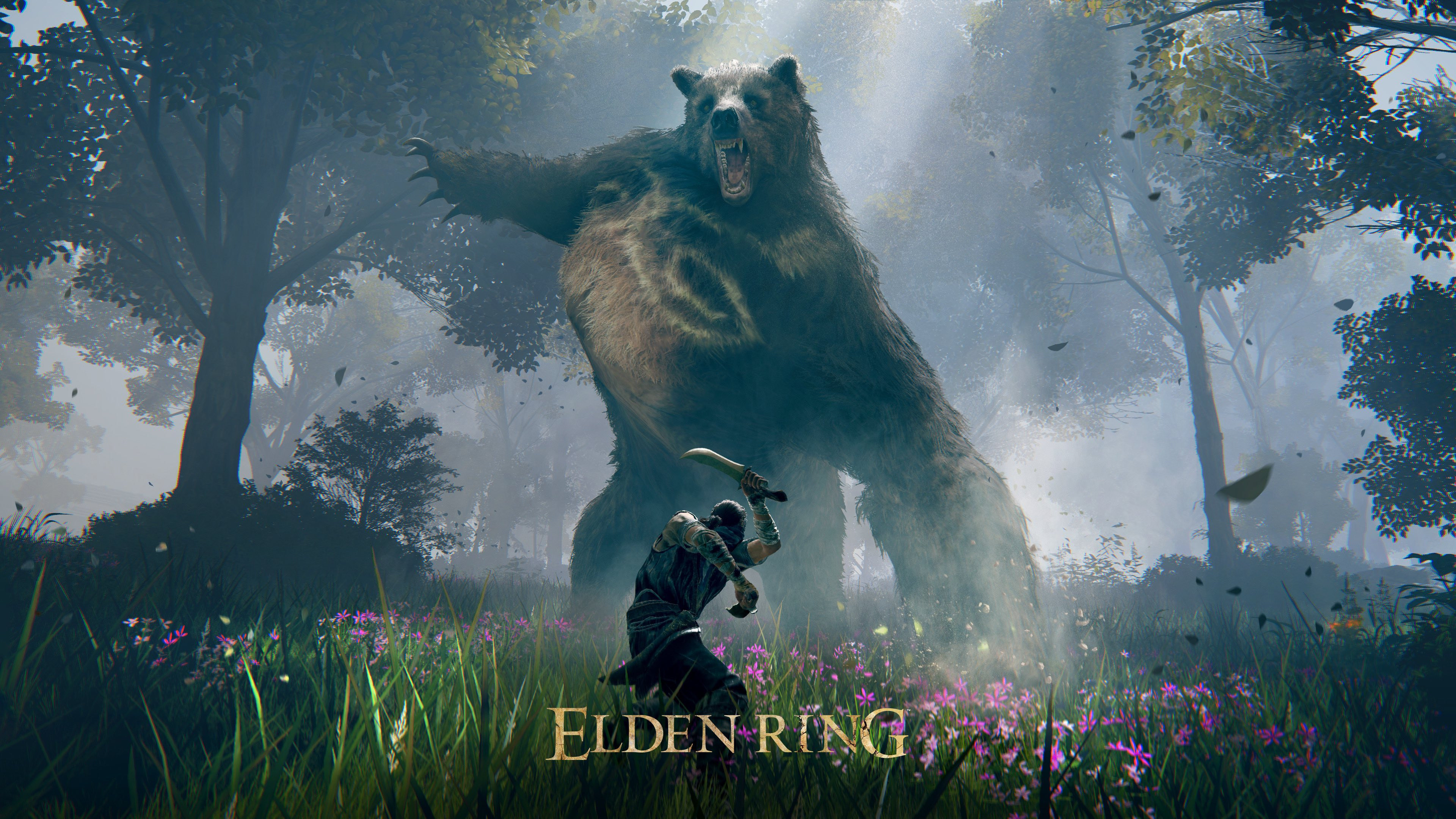 Elden Ring PS4 PRO Gameplay (1080p 60FPS) 