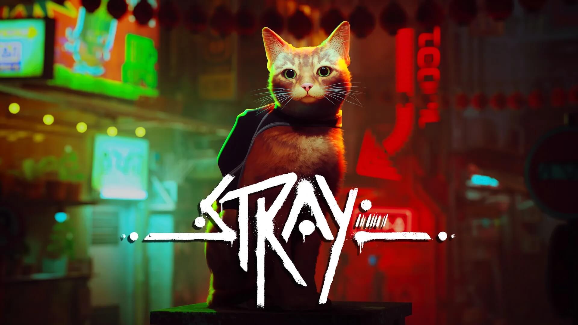 Stray plays best on PS5, as shader compilation stutters impact
