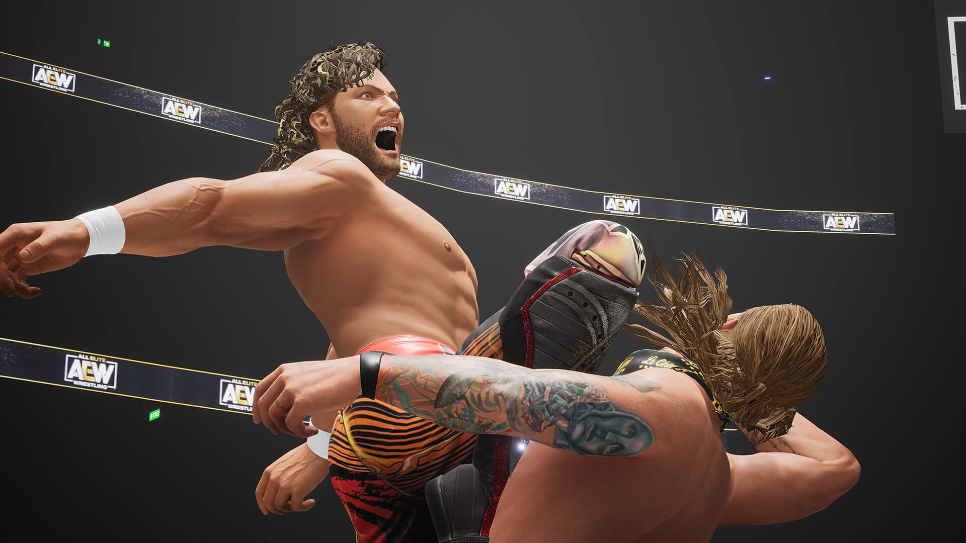 First full match gameplay footage from the wrestling game, AEW Fight