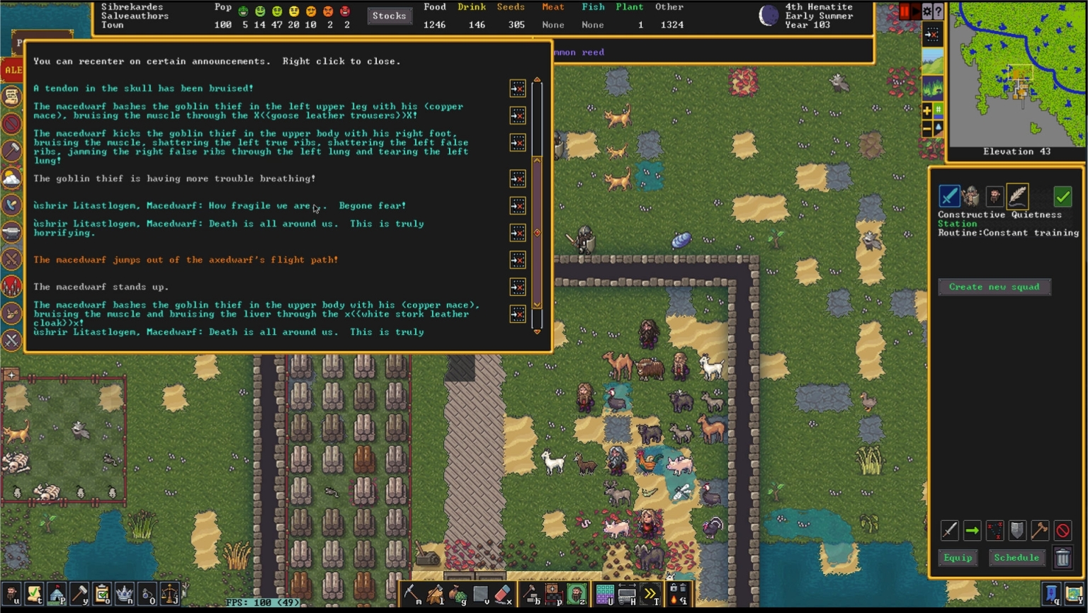 Dwarf Fortress Premium PC Review