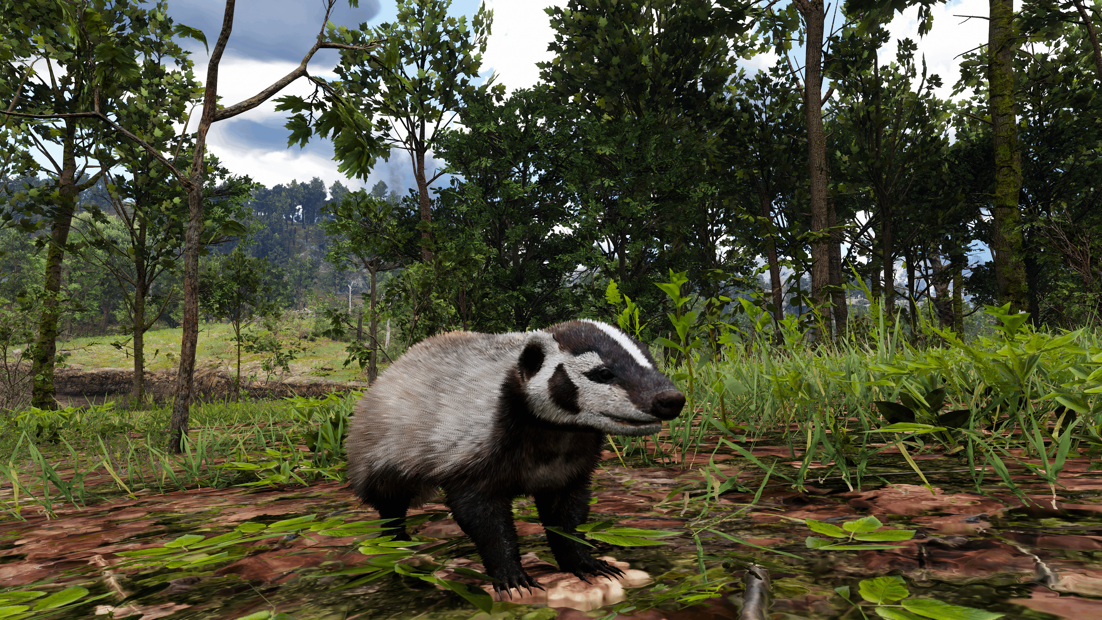 New Red Dead Redemption 2 Mods overhaul the textures of small mammals, curtains shutters