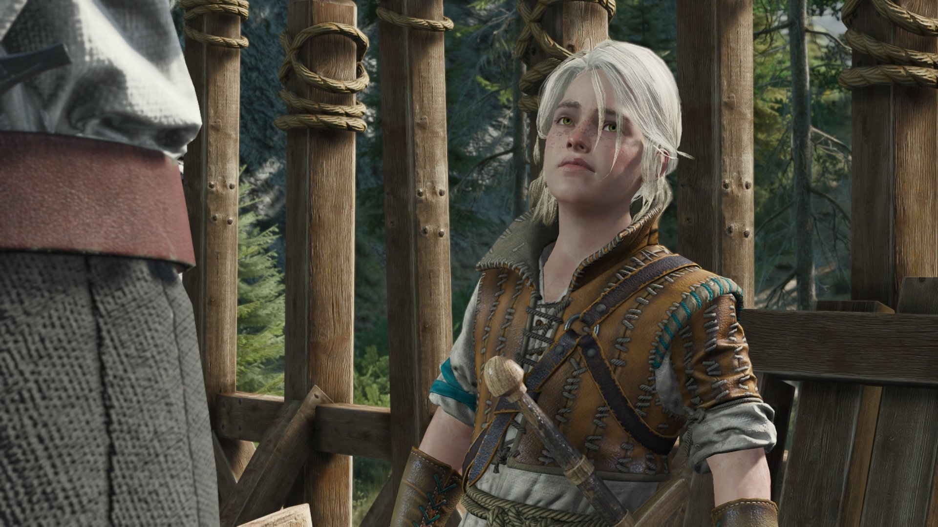 The Witcher 3 Next-Gen Gets A New 8K Texture Pack For Ciri