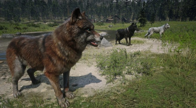A modder has brought all the foxes, wolves, bears, alligators, bison and wild boars of Red Dead Online to Red Dead Redemption 2