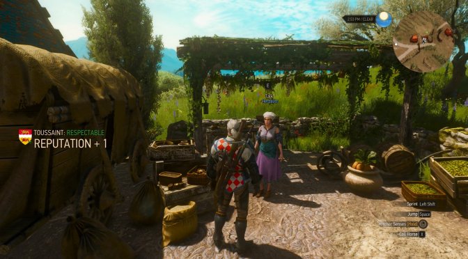 The Witcher 3 Reputation System Mod