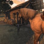 Red Dead Redemption First-Person Mod-2