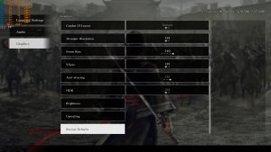 Dynasty Warriors Origins PC graphics settings-3